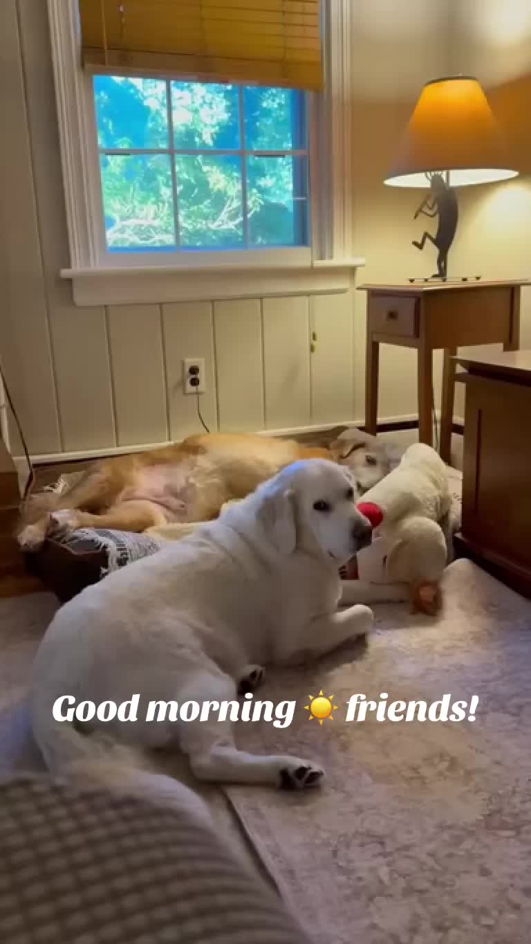 @lifewithduke2025