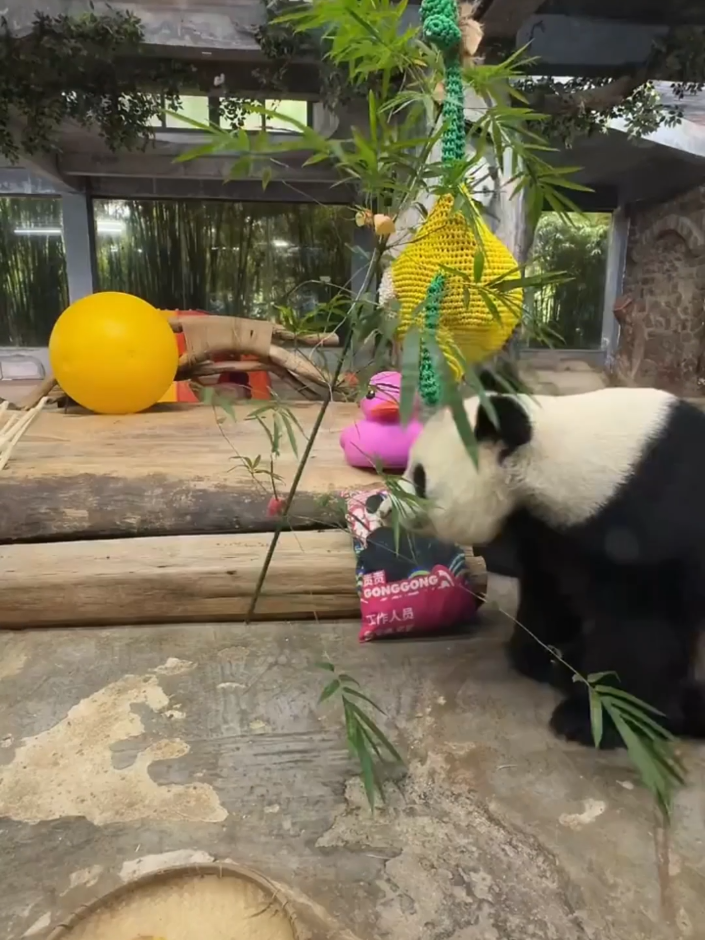 @PandaHut