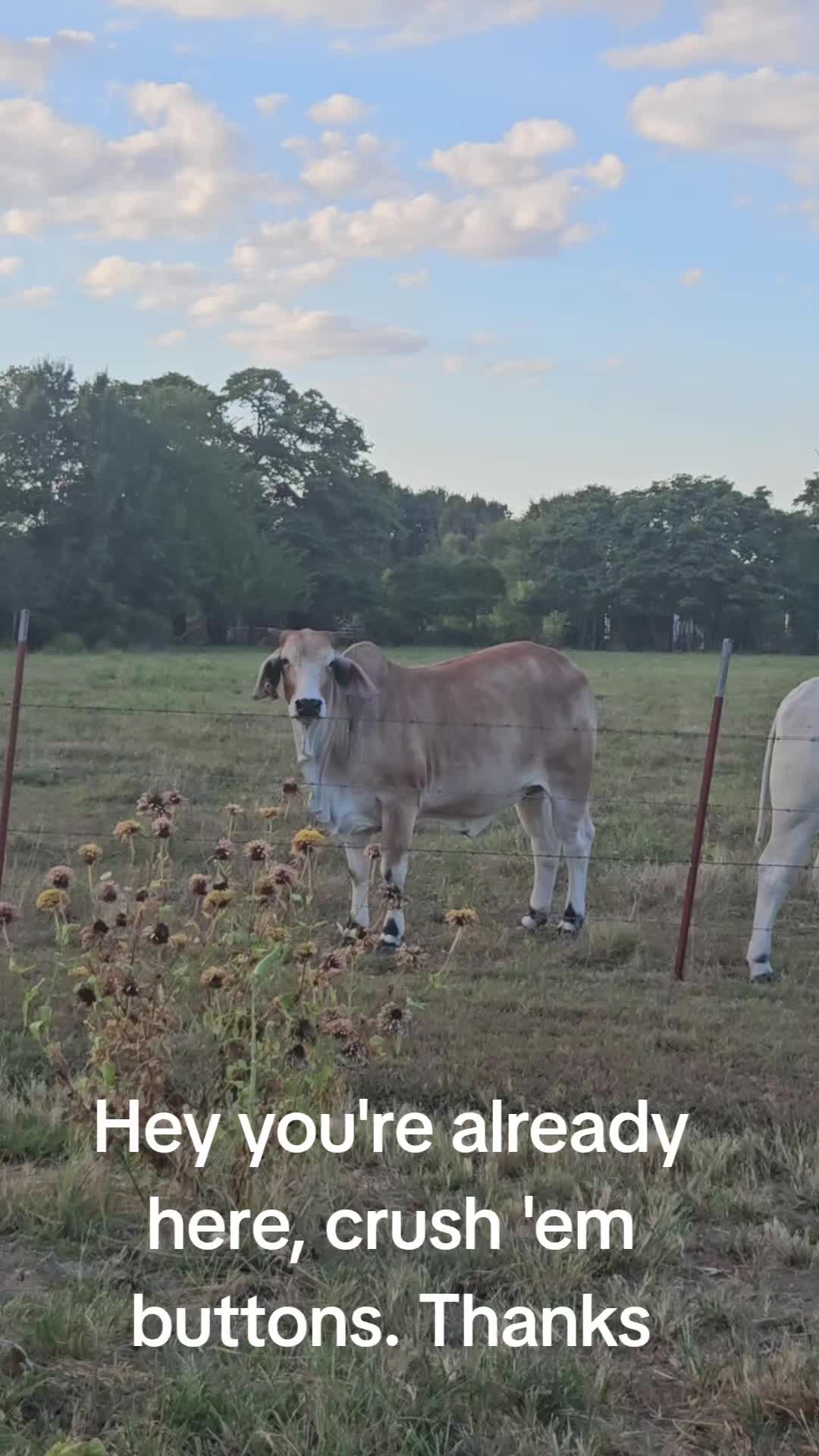 @Davy ❌️Eagon