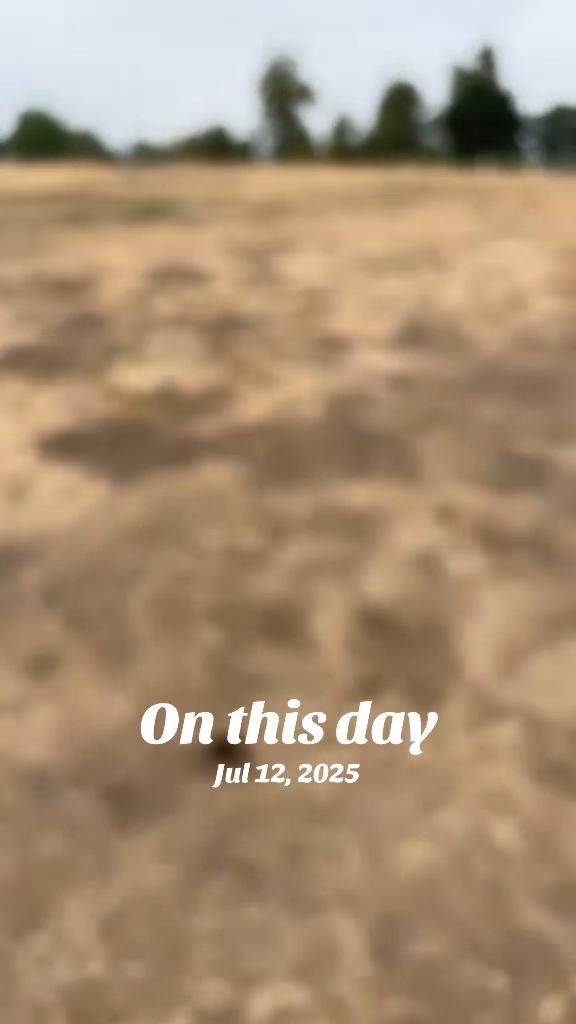 @Dischead