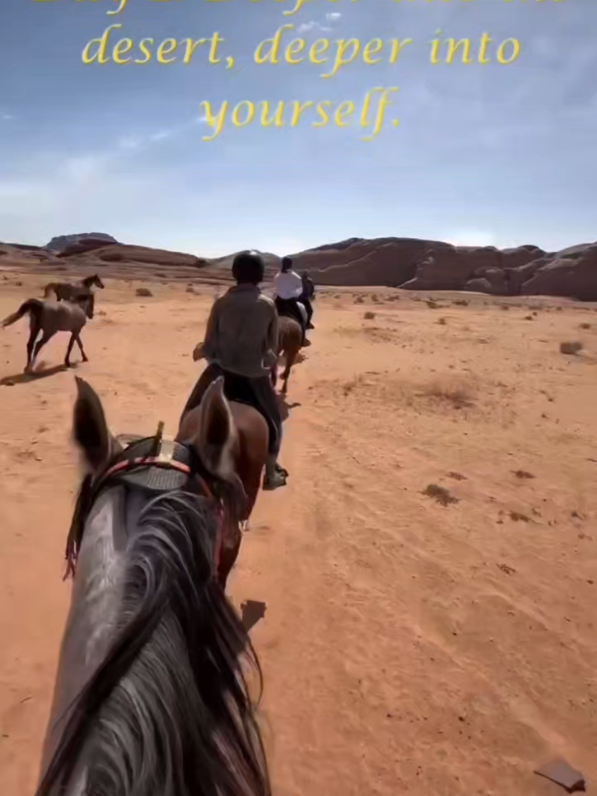 @streamhorse