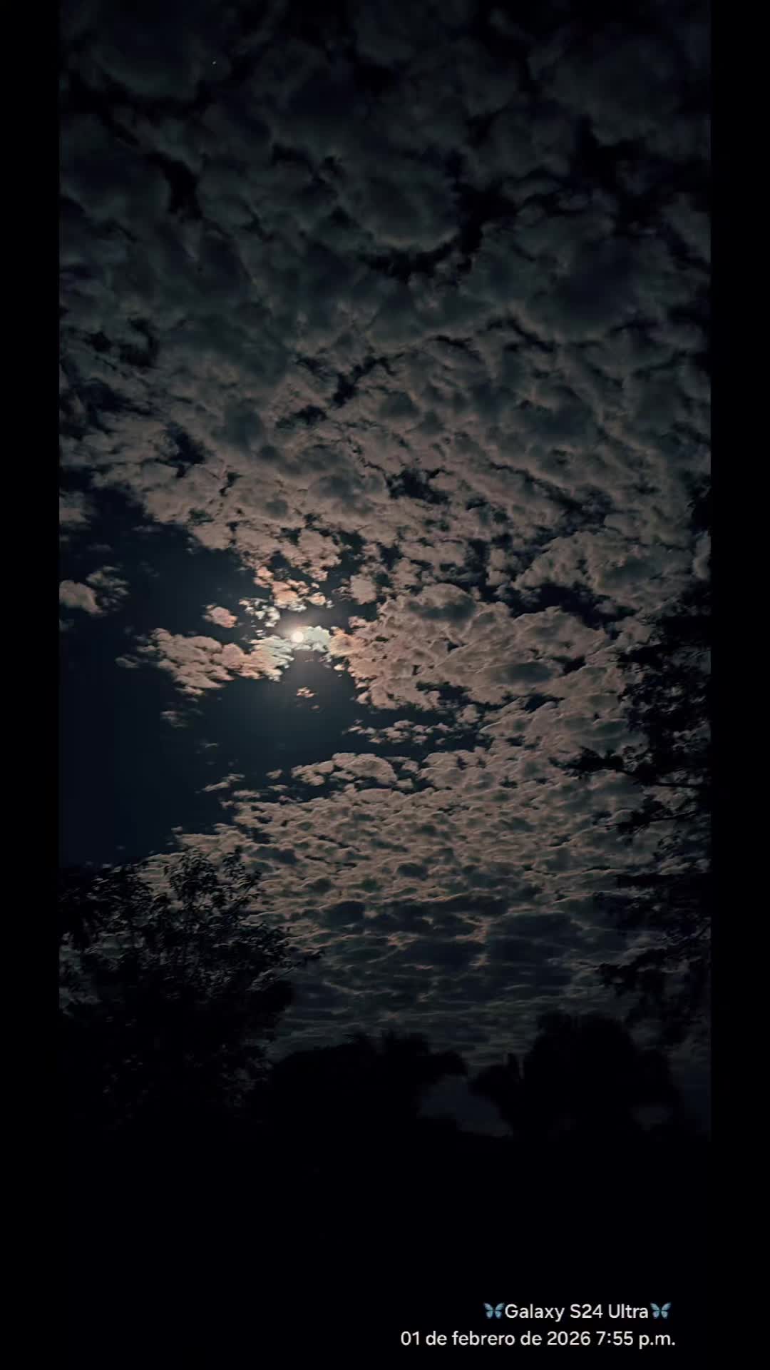 @Davila🕊glendiz🖤