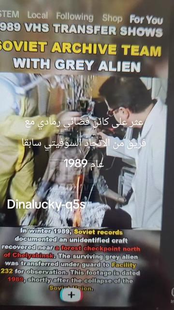 @Dina33953