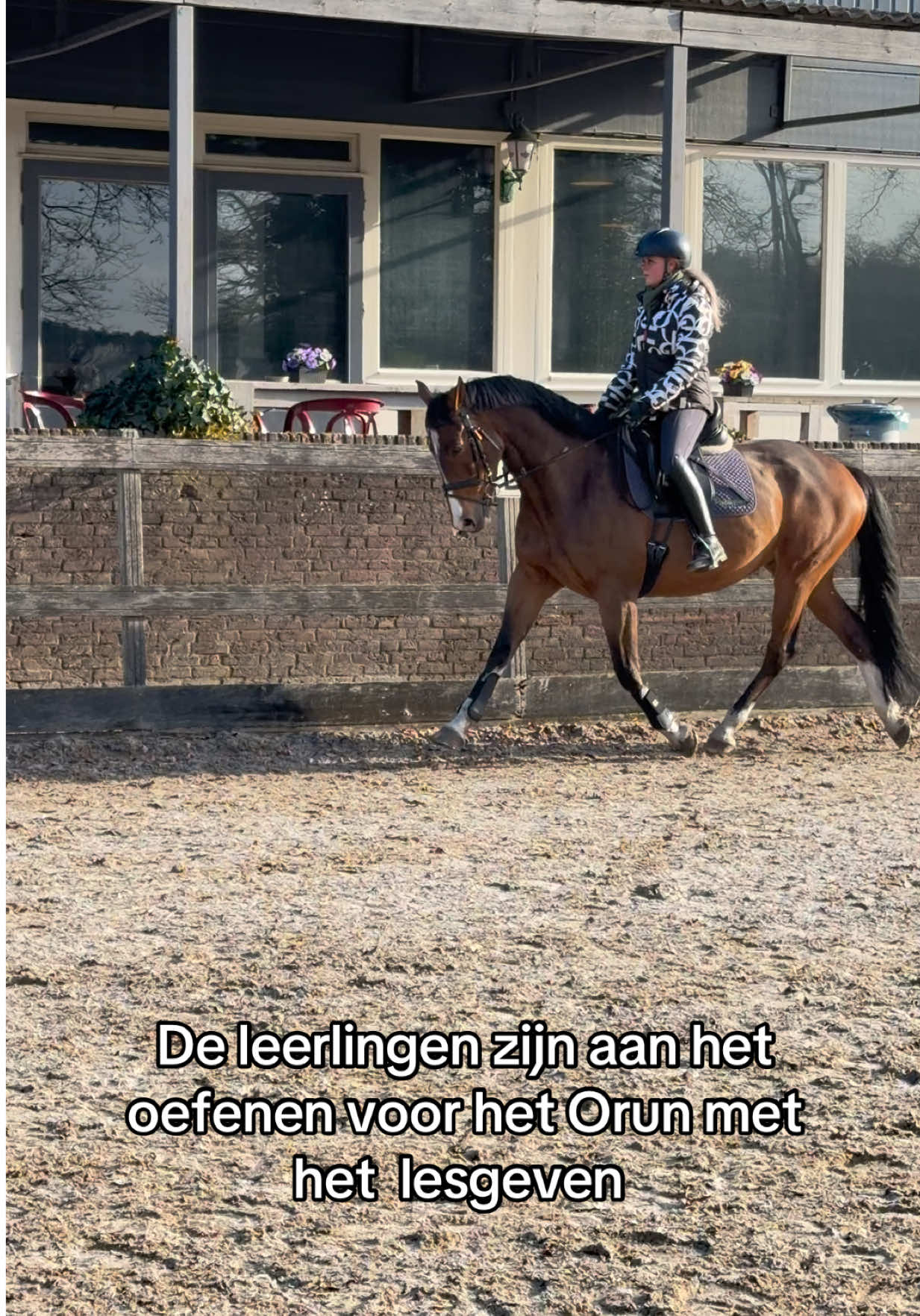 @Paardensport & -houderij Curio