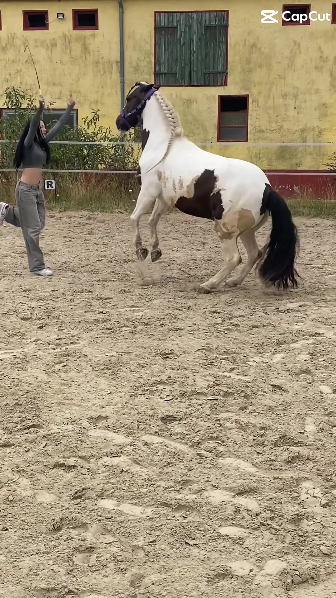 @sophie.x.090