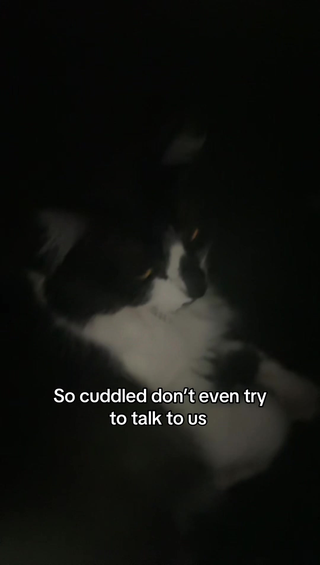 @liz