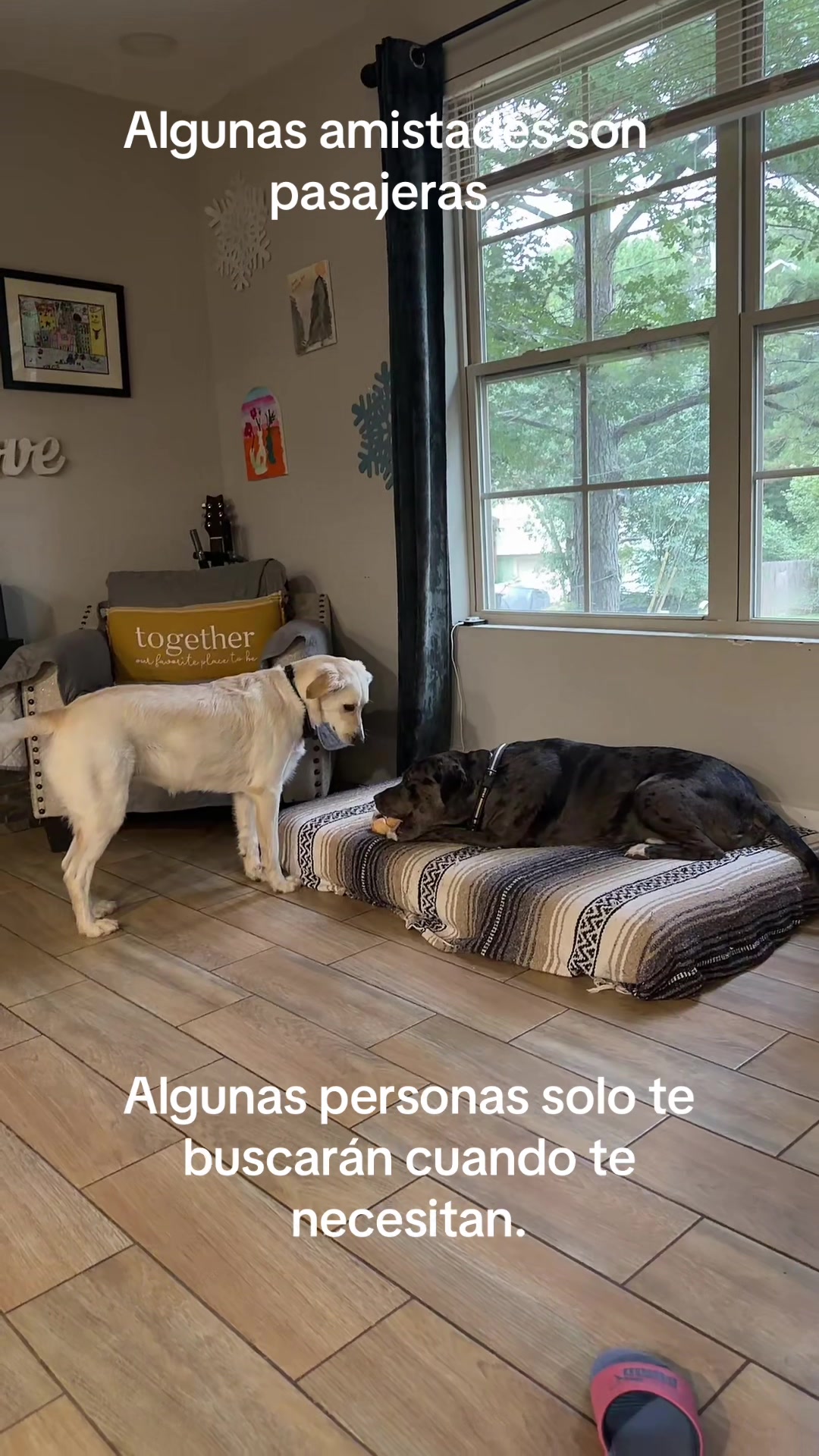@El Choco Mil🥴