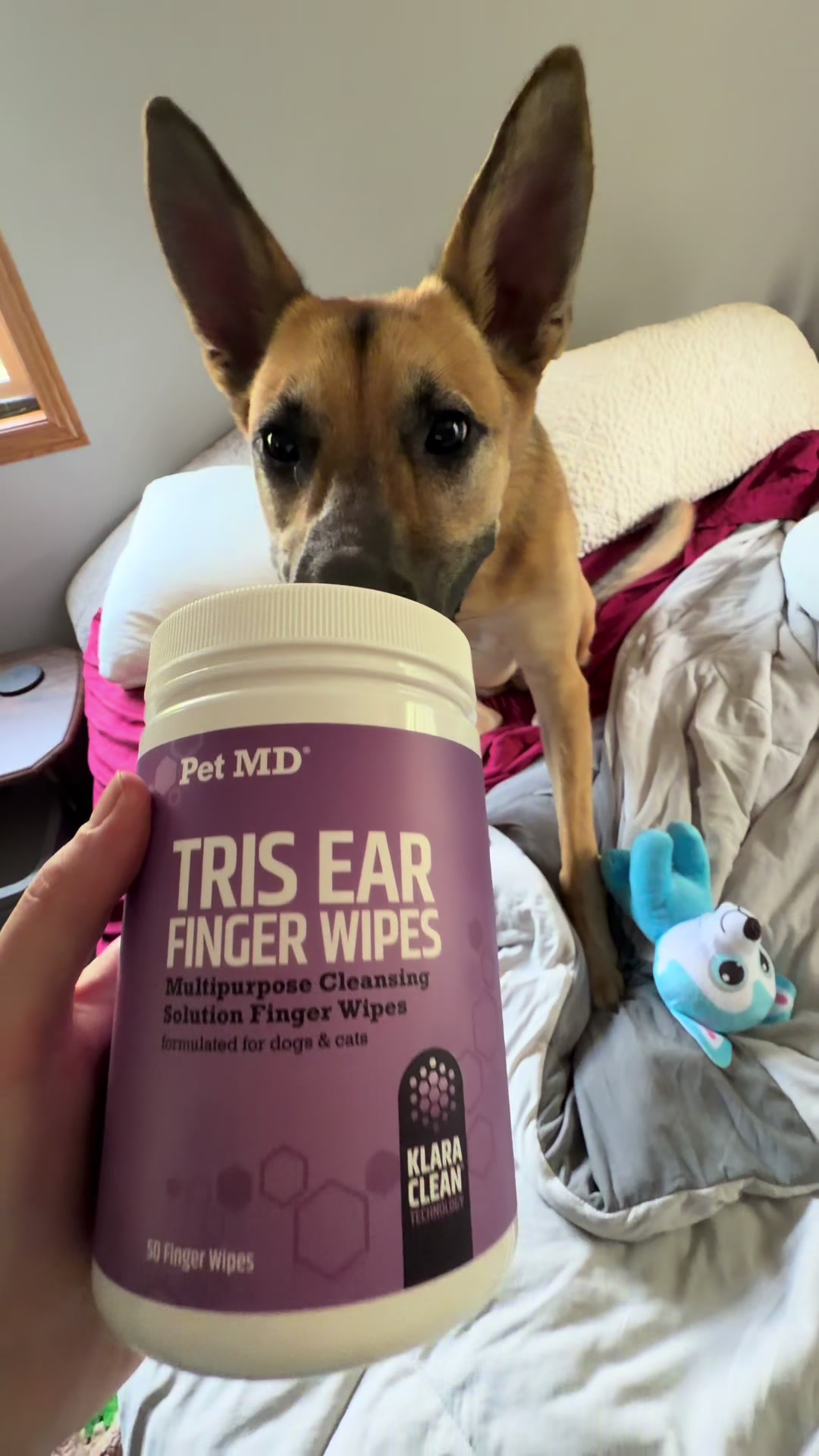 @Kiki.GSD