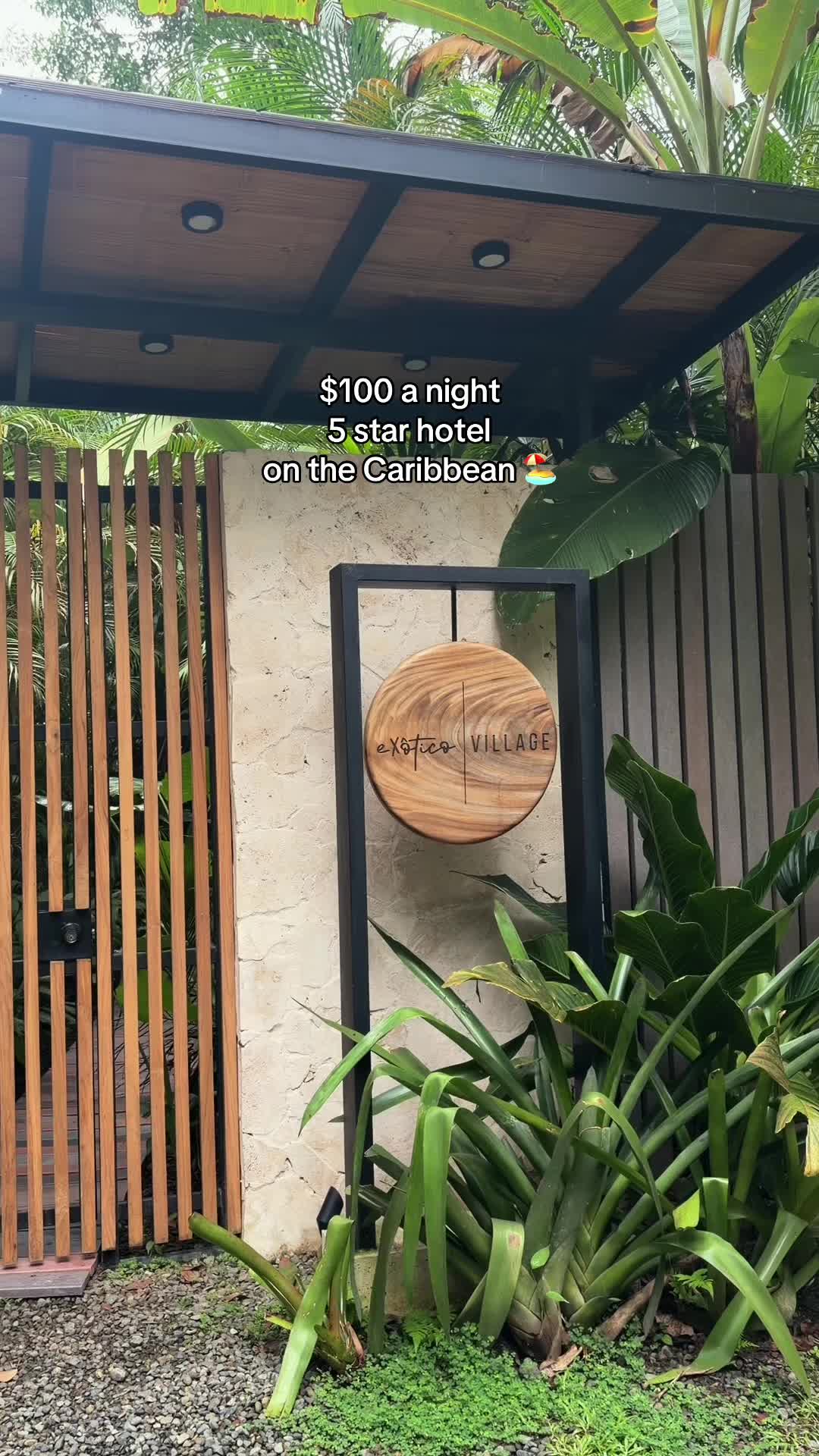 @casschatss