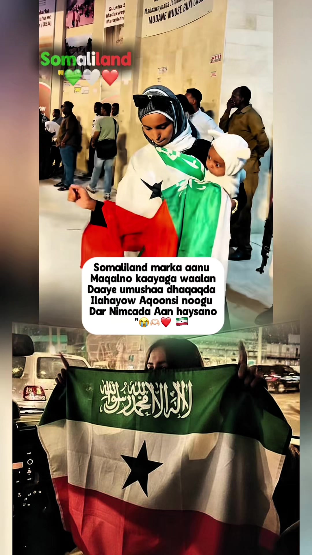 @༆AMAAL MUSE BIHI༆