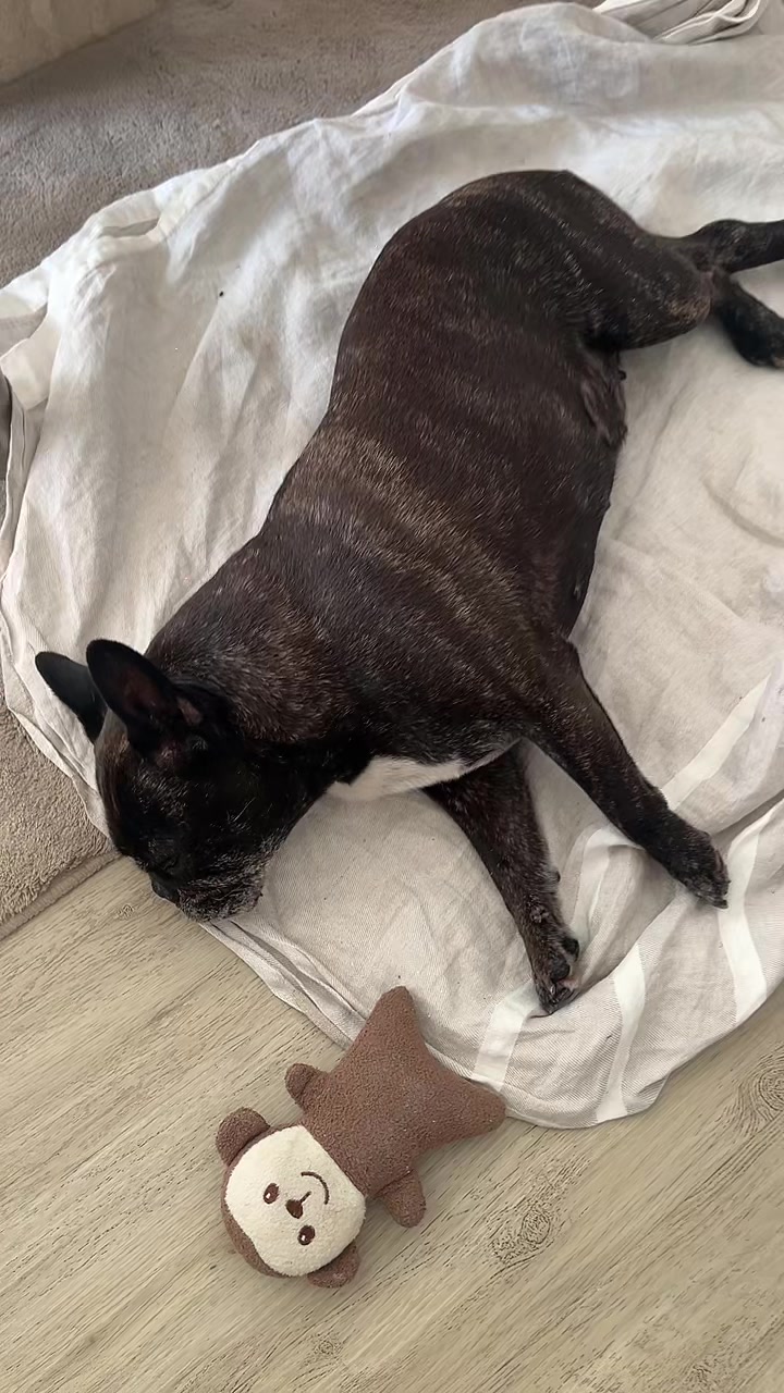 @cozybynora
