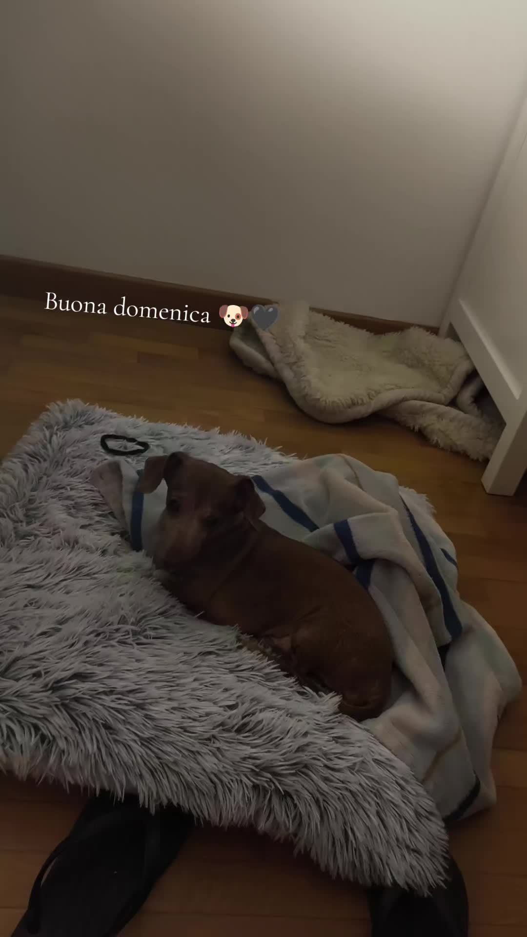 @Marta e Jj