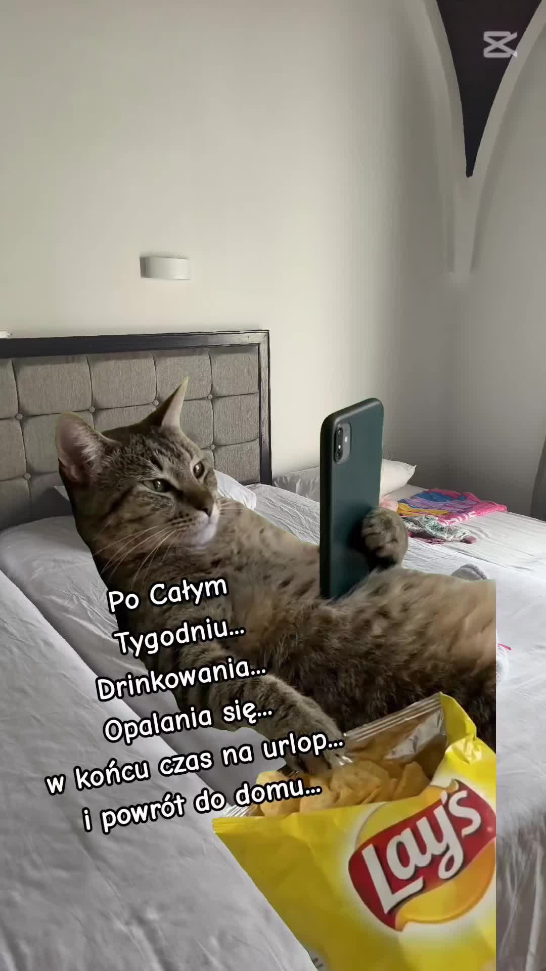 @Oni 1988_90