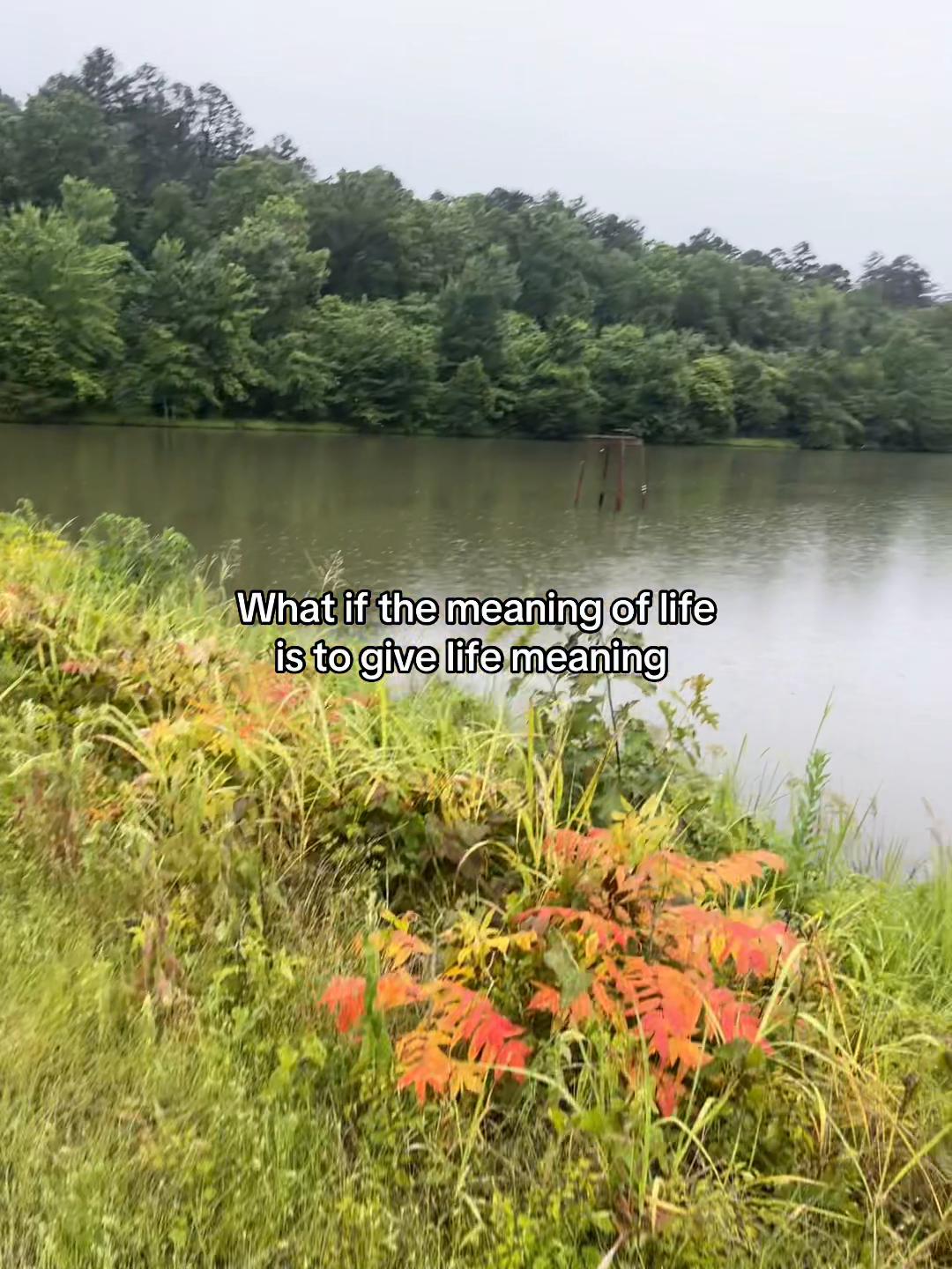 @Fk.Fishing