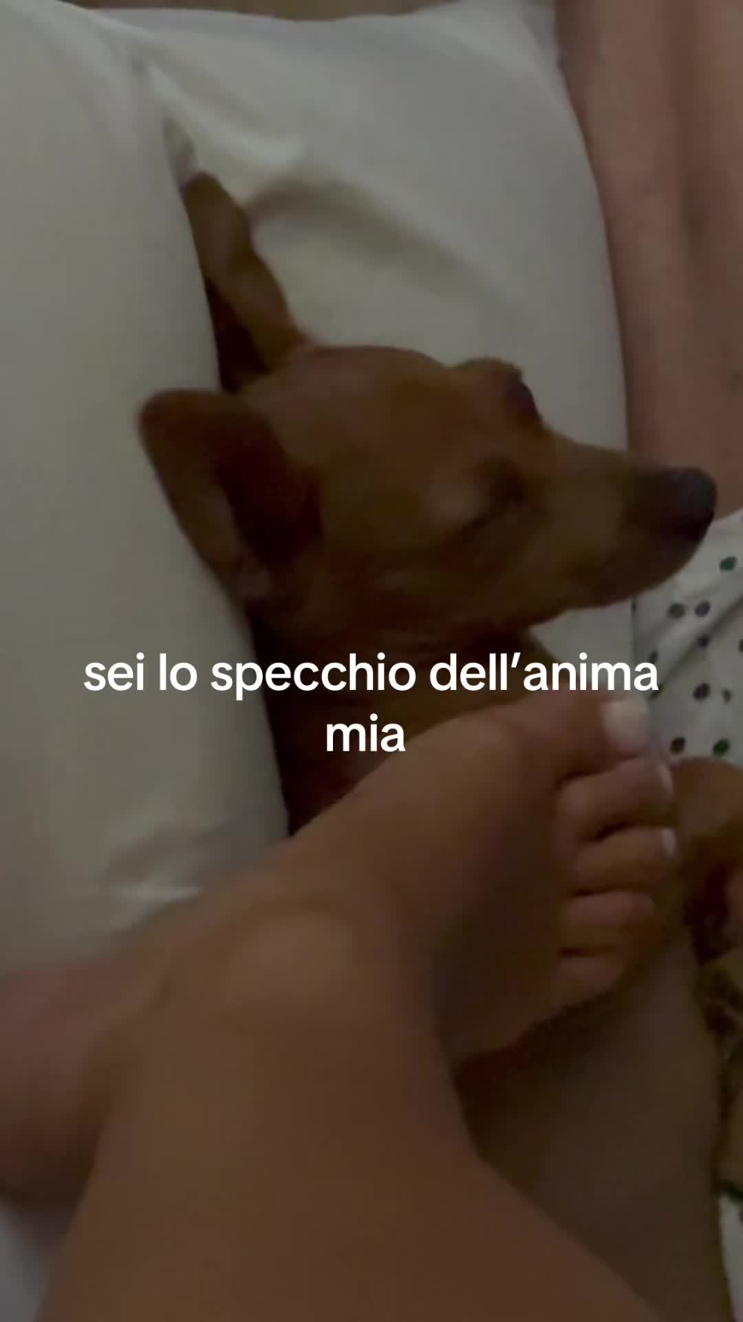 @Giulia Di Vona