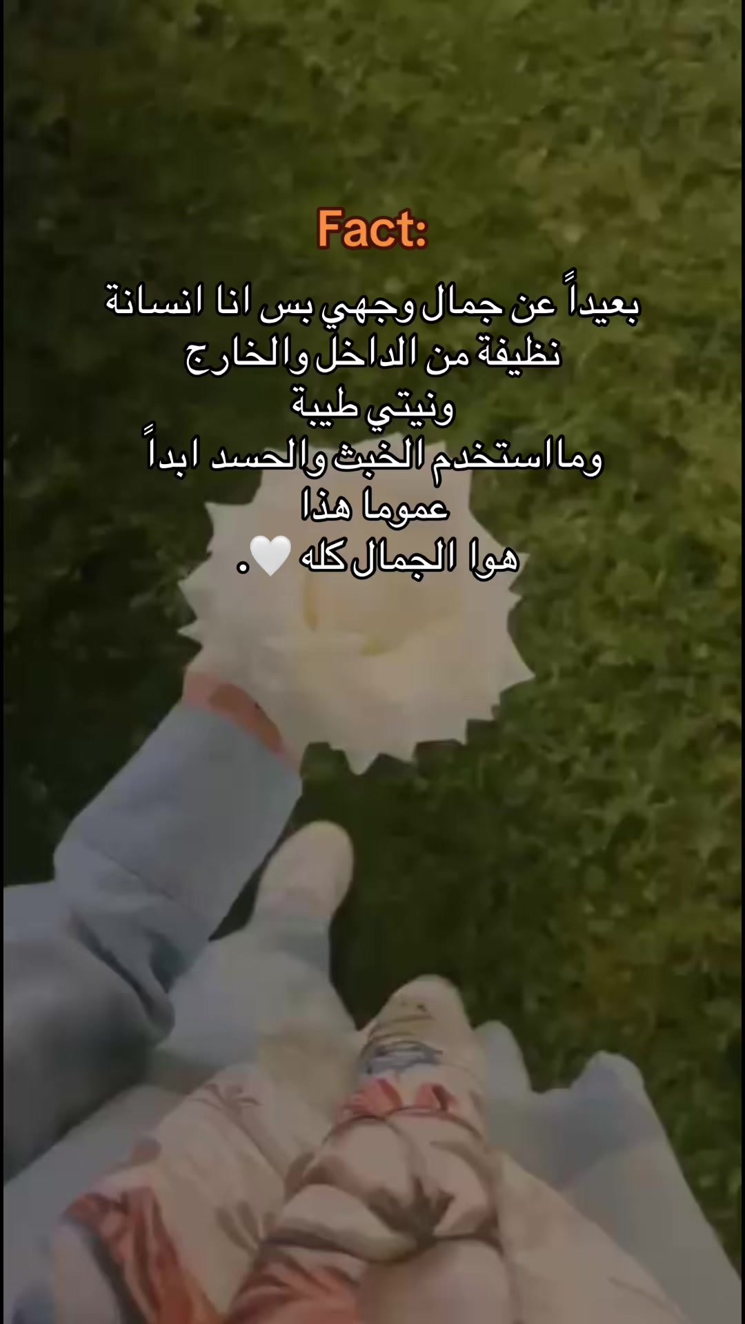 @AyA Ali