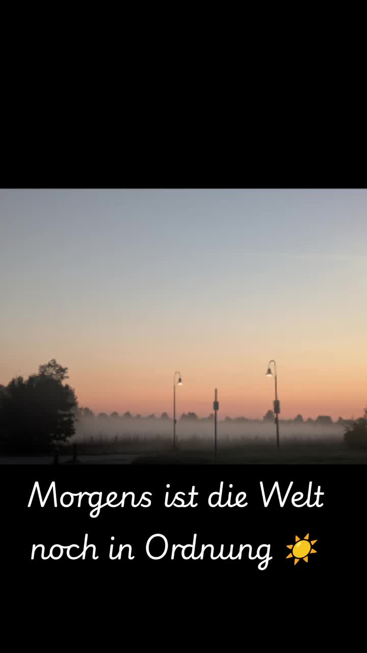 @AuroraPrinzess