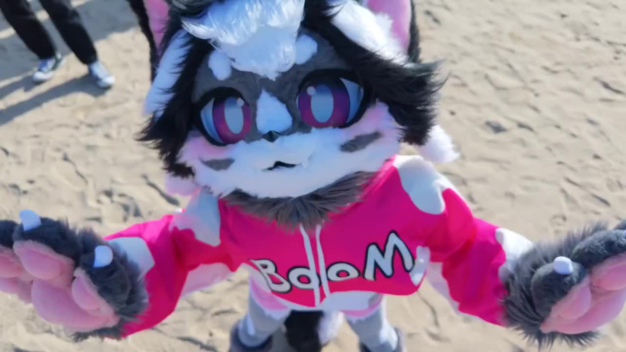 @radywolf