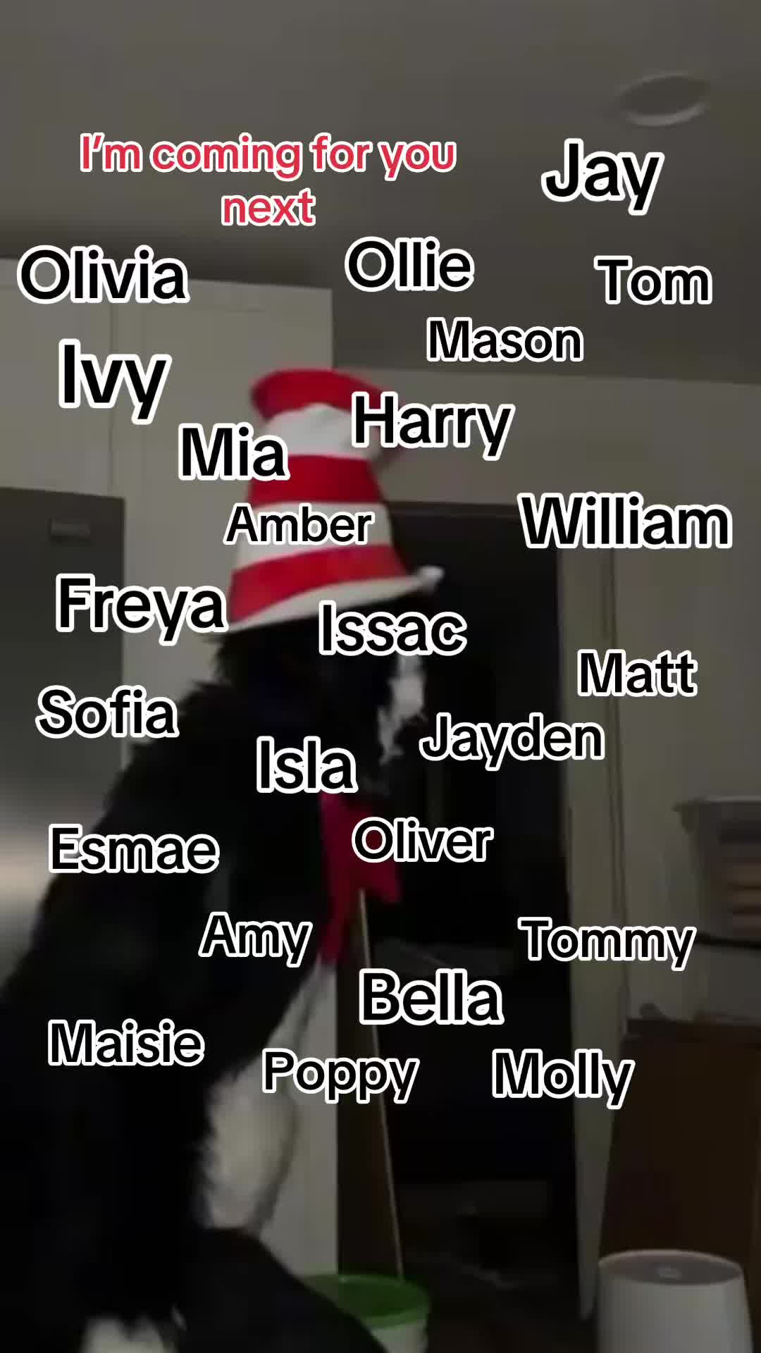 @THE REAL CAT IN THE HAT