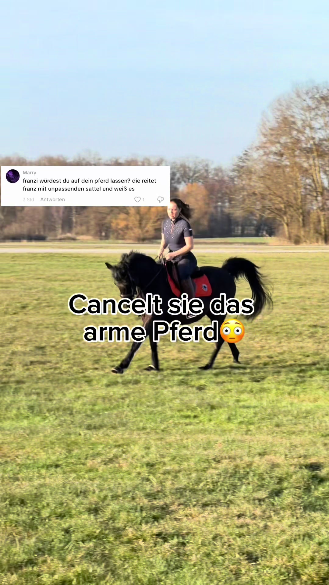 @Letynnxhorses