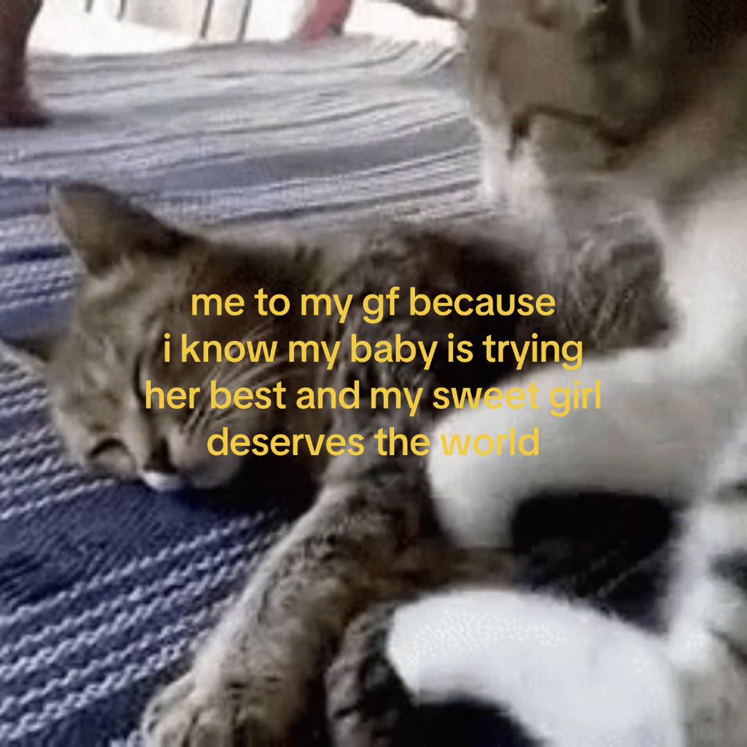 @Alice.cattok