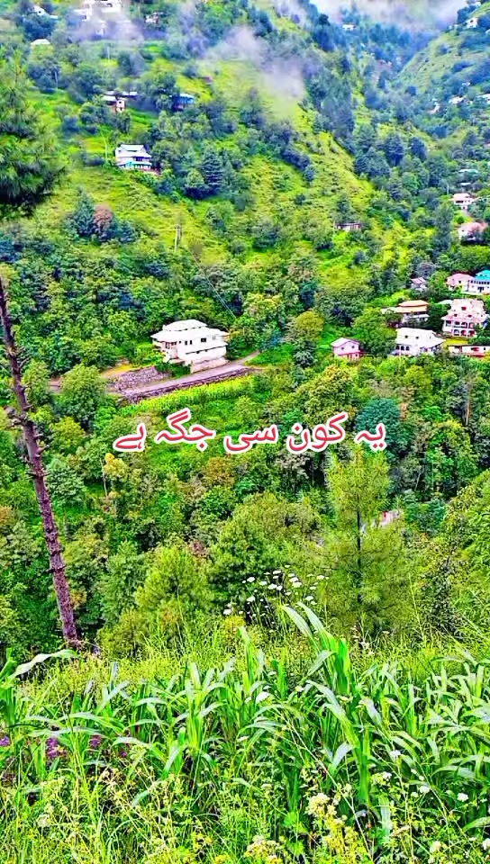 @انجان لڑکی