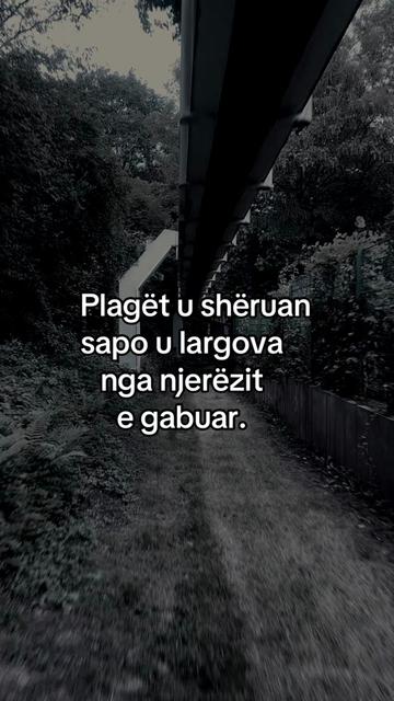 @Ilda_007🇦🇱❤️