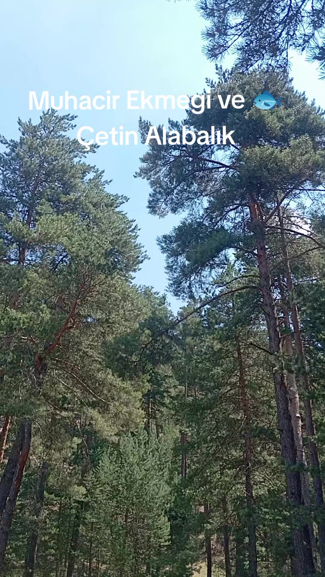 @⭐ALparslan_Cetin⭐