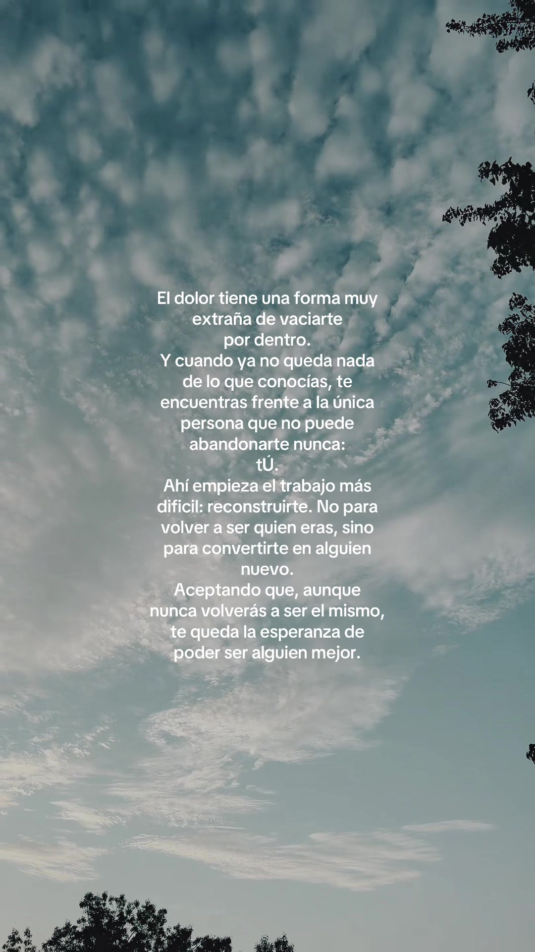 @Frases de todo un poco...