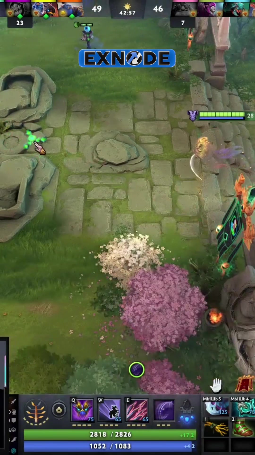 @DOTAHUB