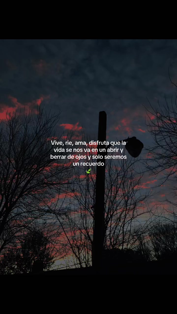 @𝒃𝒓𝒆𝒏𝒏.