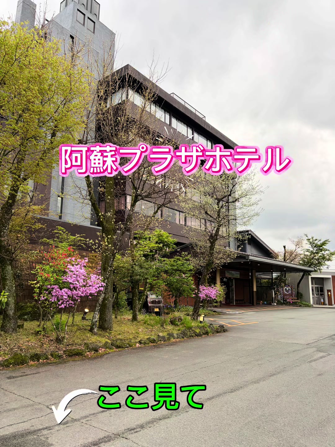 @ð¯ããŒã¡ãâsarchinâð¯