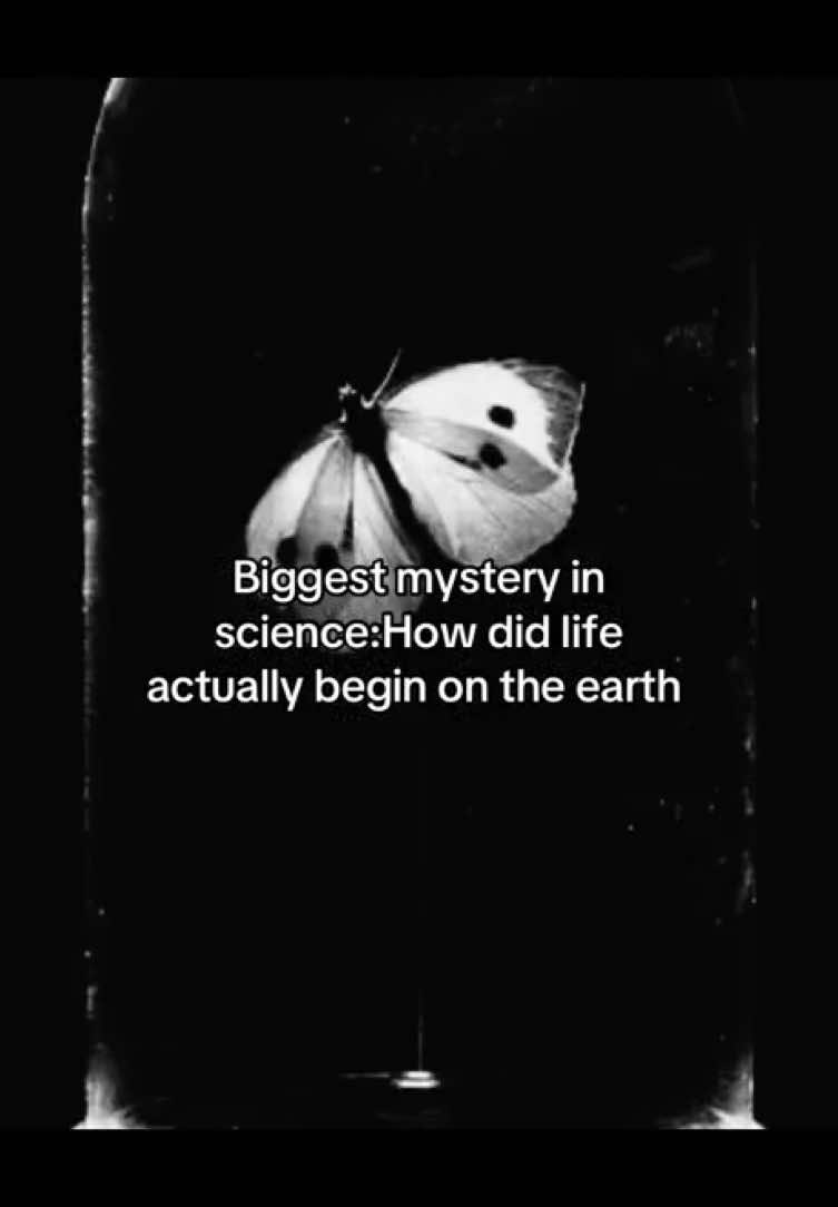 @The universe unfolded