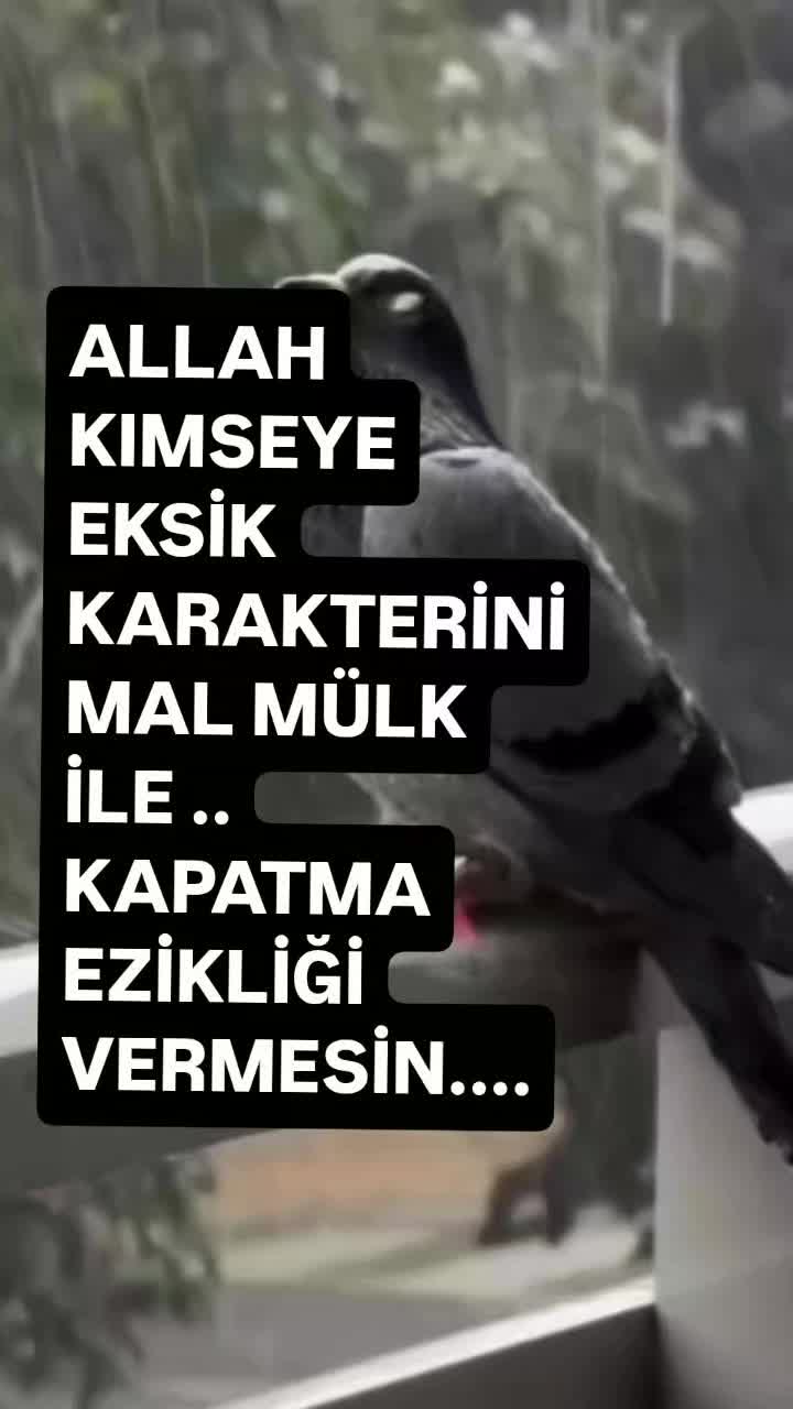 @__İREM__