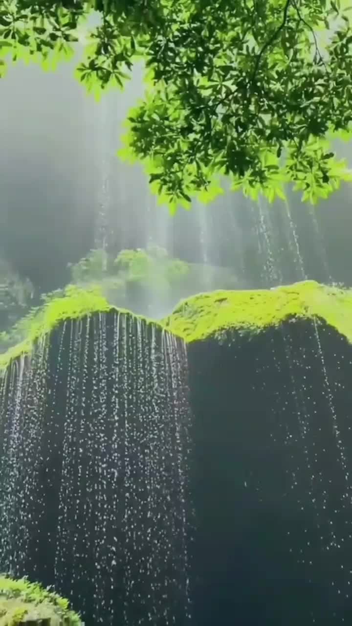 @valentinabadan5
