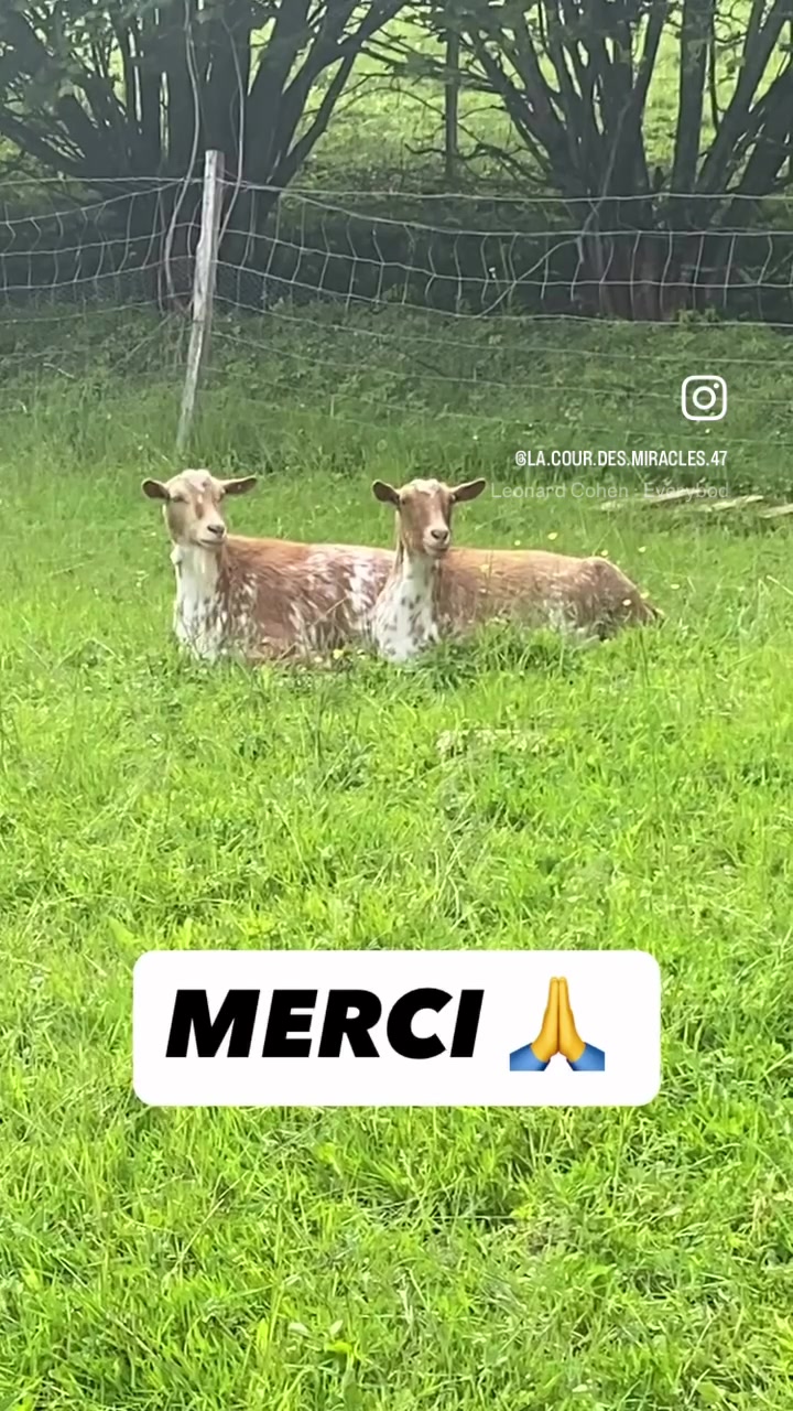 @La Cour des Miracles