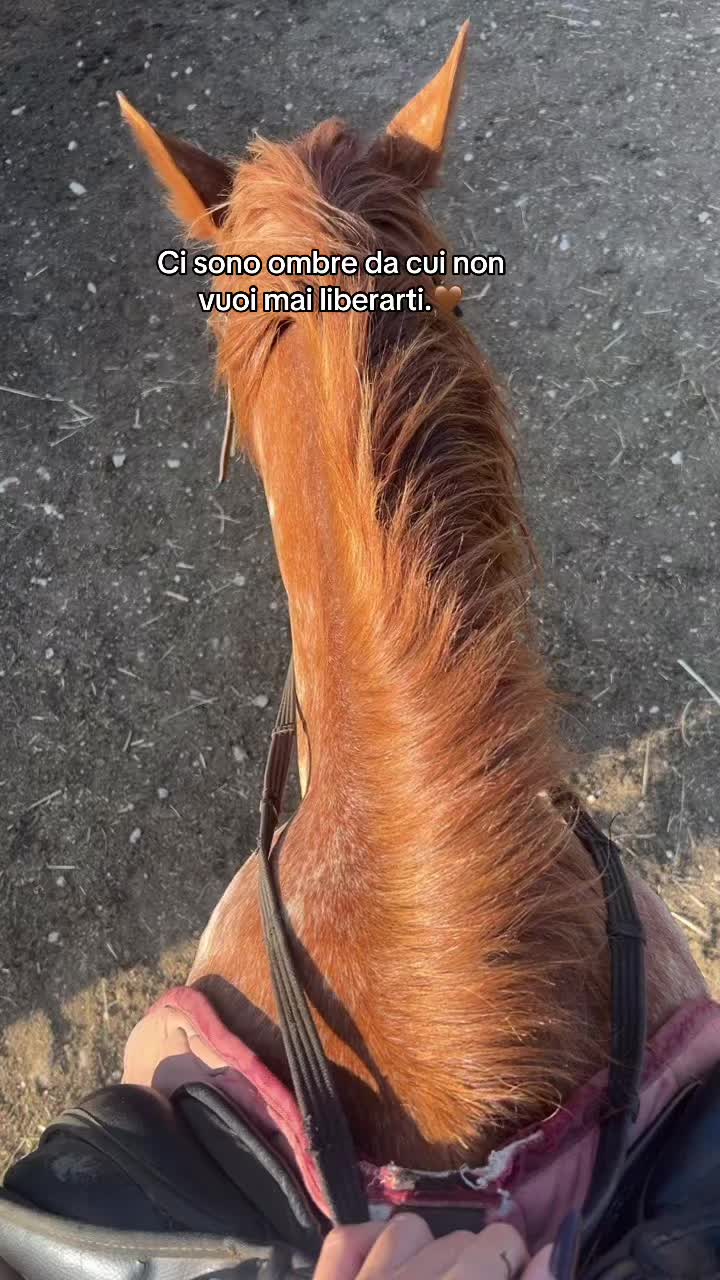 @user777
