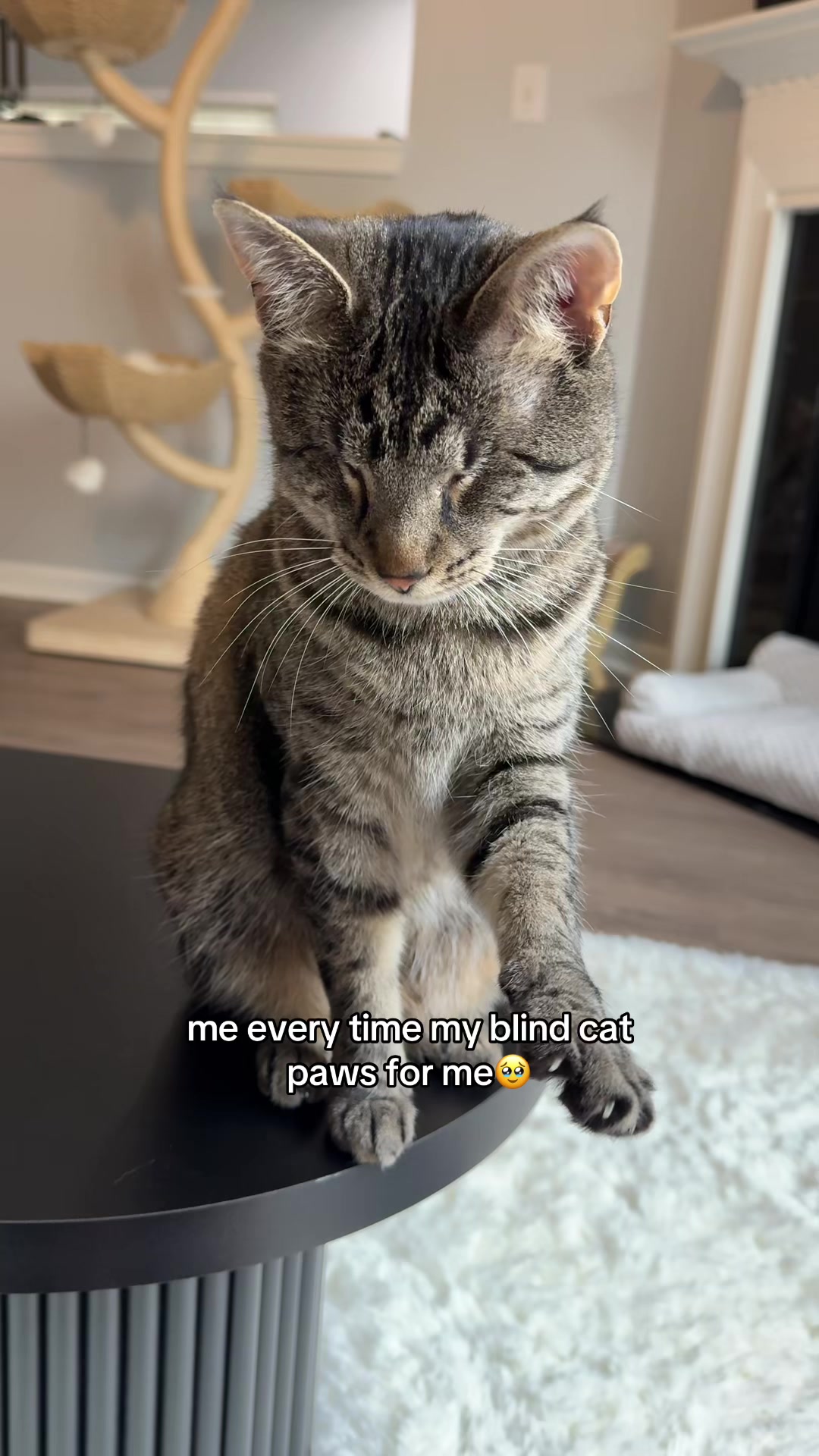 @𝘼𝙢𝙗𝙚𝙧 & 𝙎𝙩𝙚𝙫𝙞𝙚