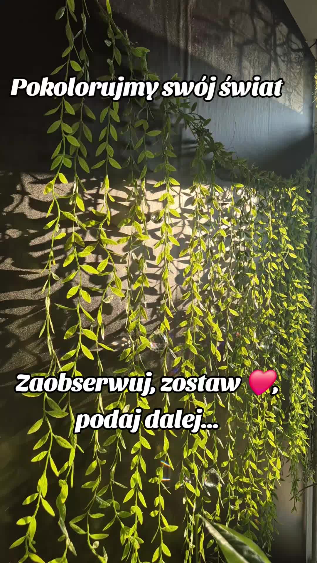 @Aleksandra✨SunCatchersArt✨