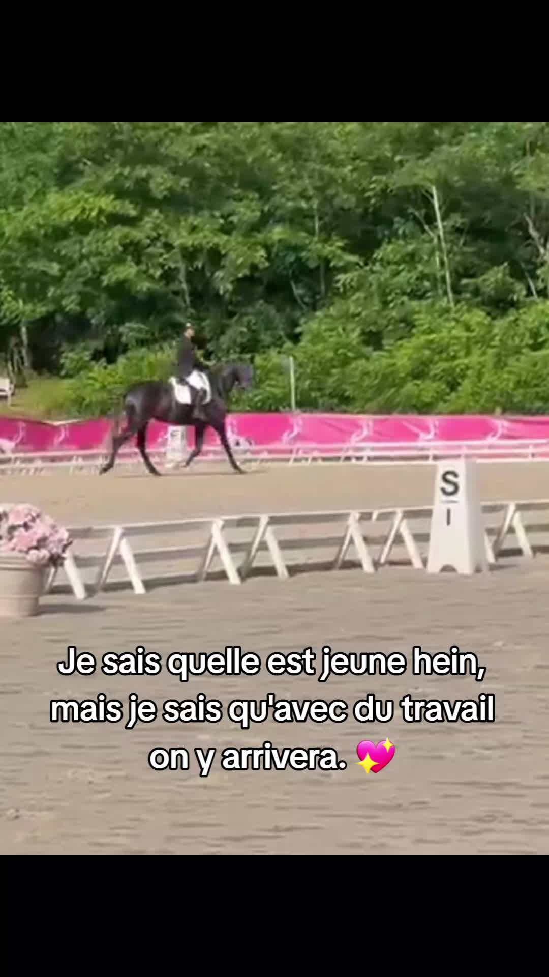 @Une.fleur.a.cheval