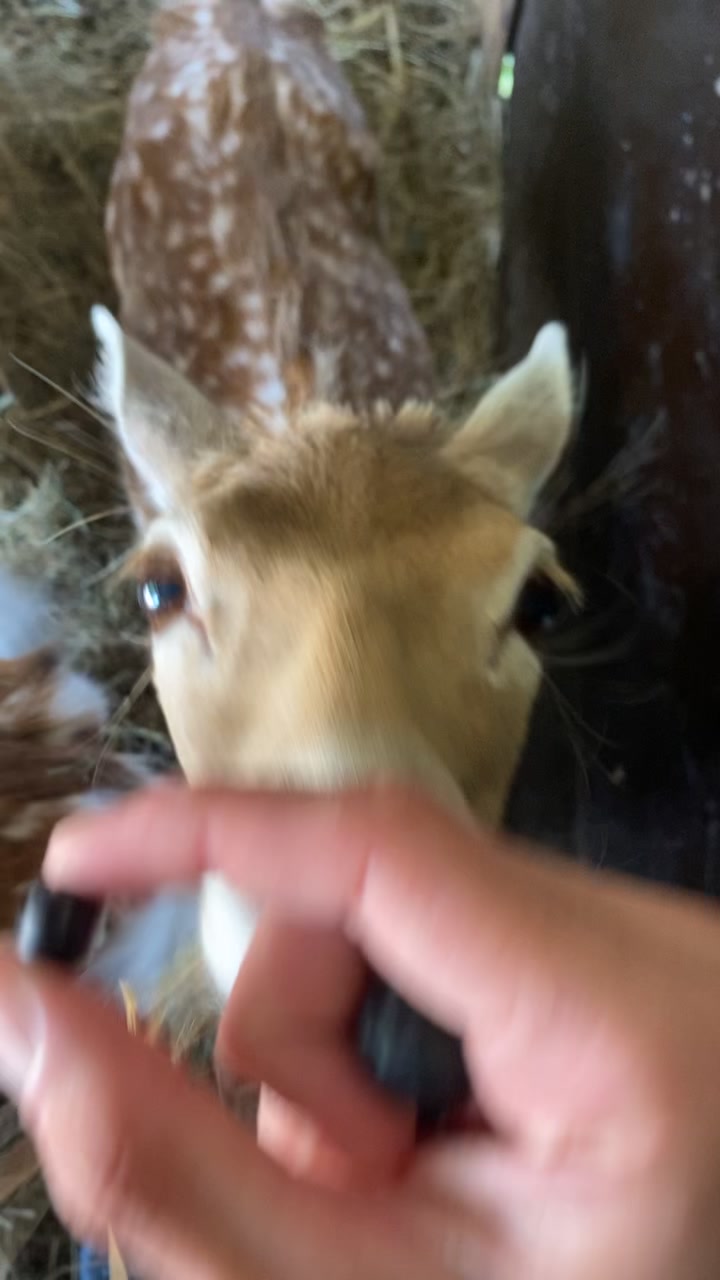 @Boo__Farm