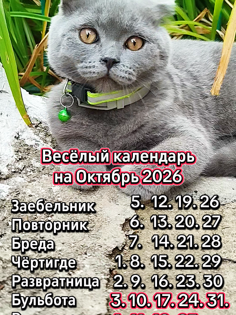@😻Риччи&Джесси🐈Масик👼&Андрей