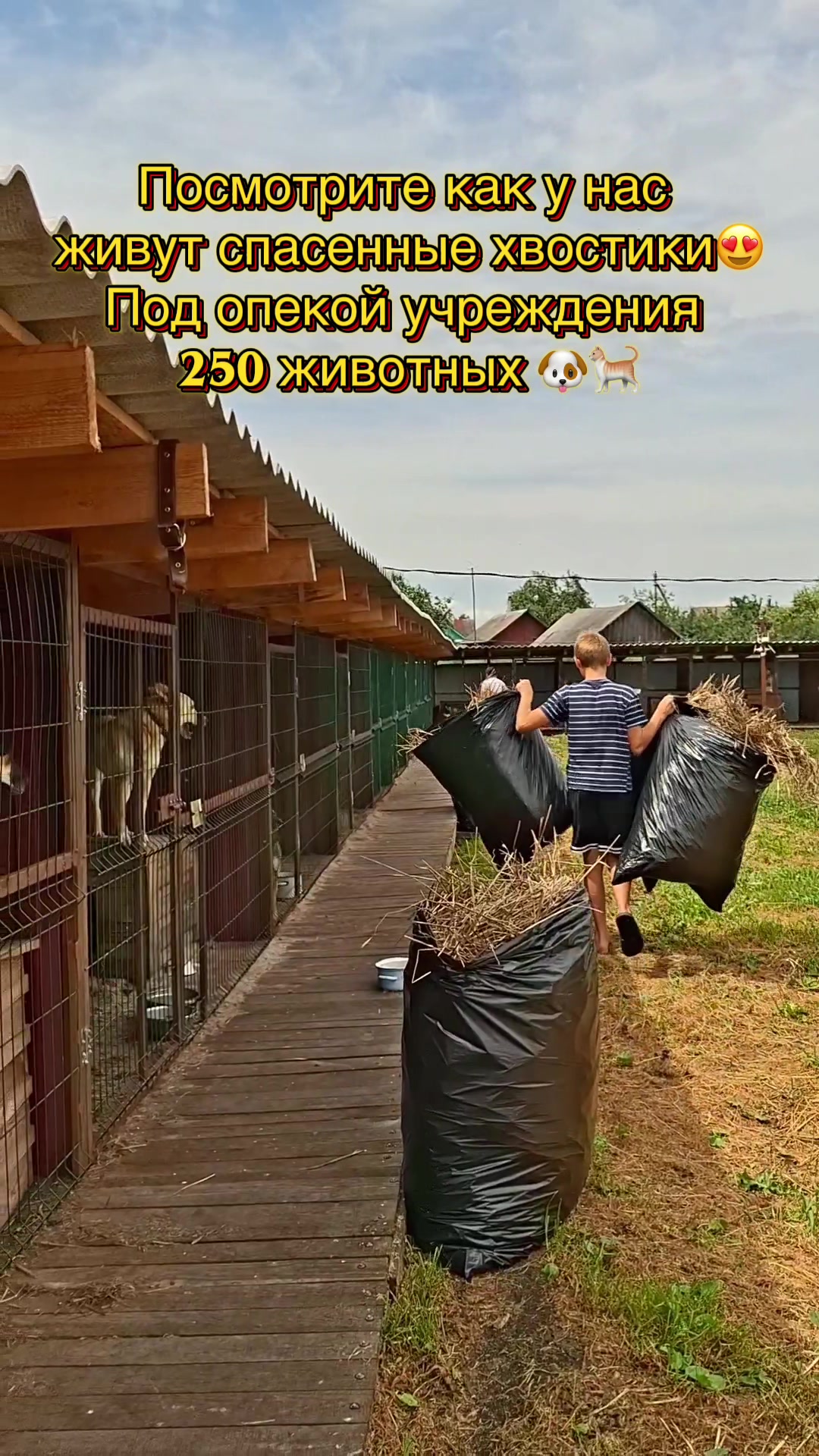 @Директор «Песокот»250🐈🐶