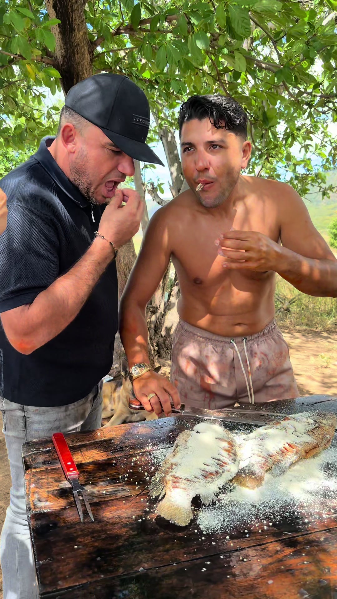 @doutormidia