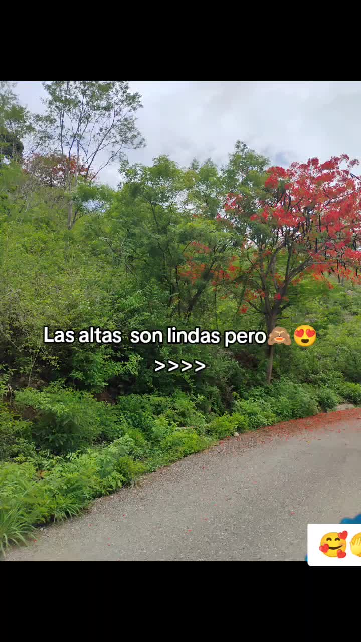 @Annyruiz2008