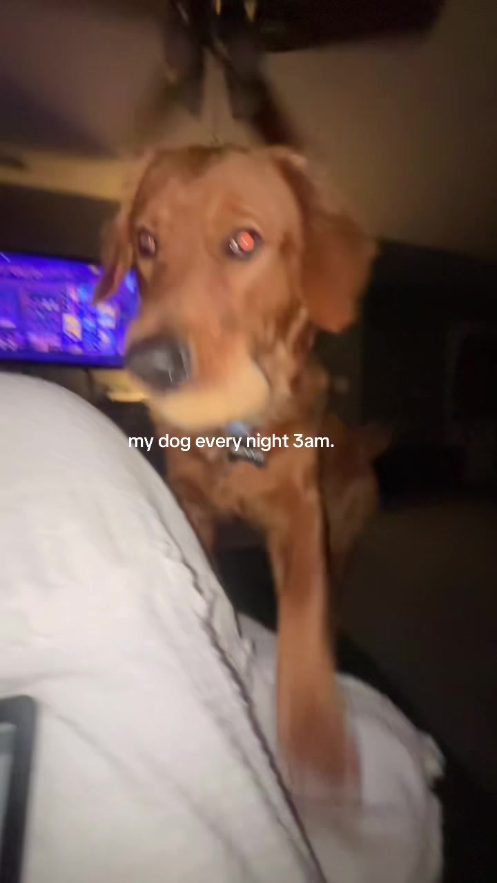 @Jaylynn