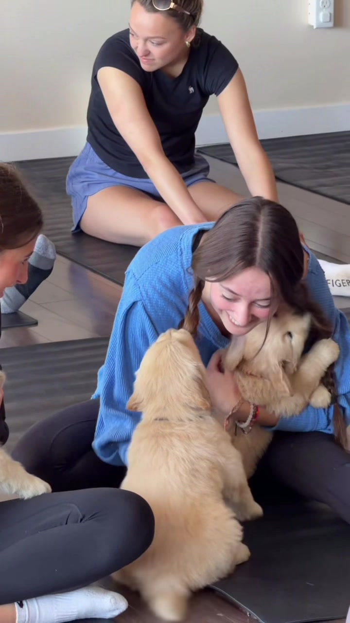 @Muskoka Puppy Yoga