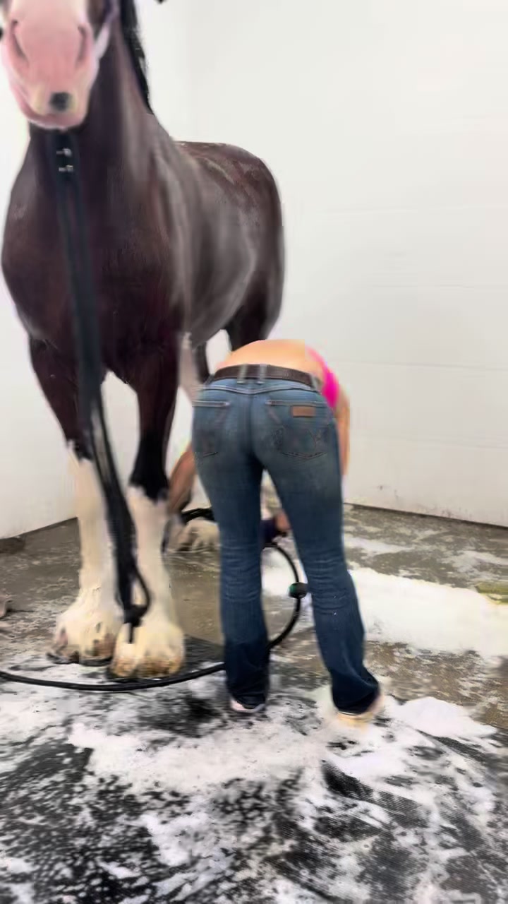 @Itsamandaleeee