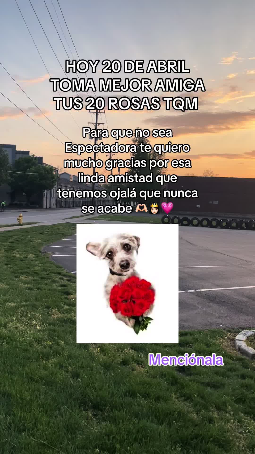 @꧁Frases 🍀🧑🍳Hernández🧸🛐꧂