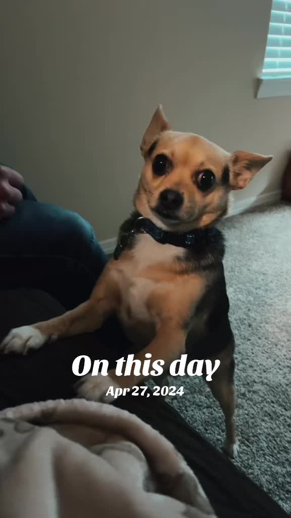 @Whiskeyandtennessee